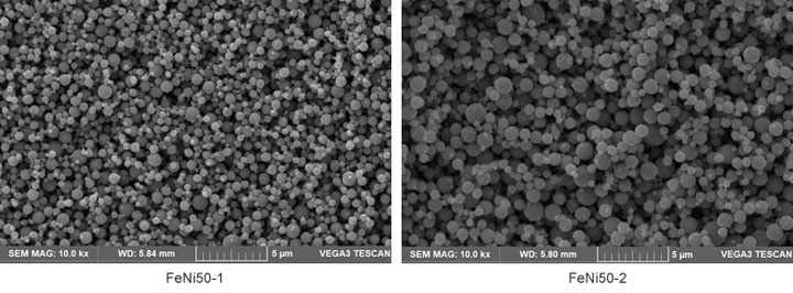 Nickel Iron Alloy Powder SEM Micrograph