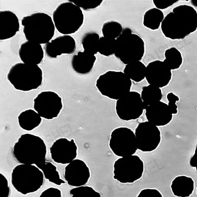 Agglomerated Spherical Molybdenum Powder