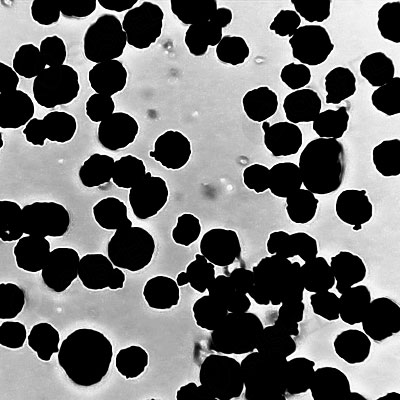 Agglomerated Spherical Molybdenum Powder