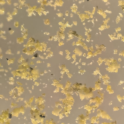 Silicon Carbide Powder