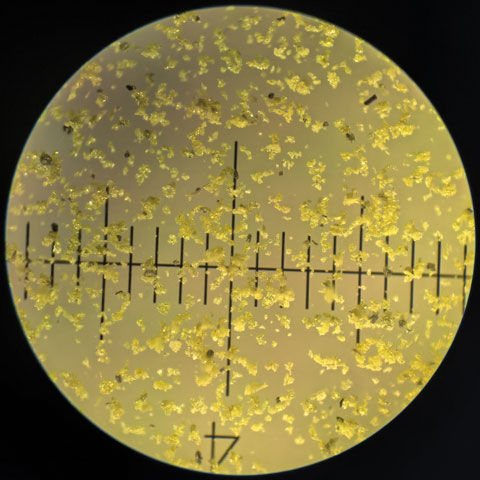High Purity Silicon Carbide Powder